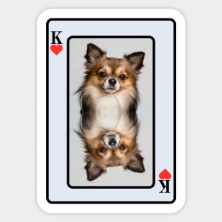 Chihuahua King Of Hearts Sticker